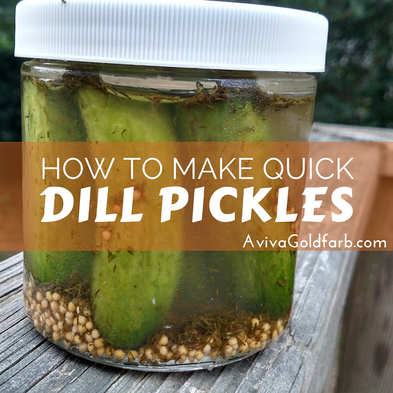 How to Make Quick Dill Pickles